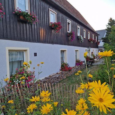 Ferienwohnungen Kleiner Kuhstall Kurort Gohrisch Buitenkant foto
