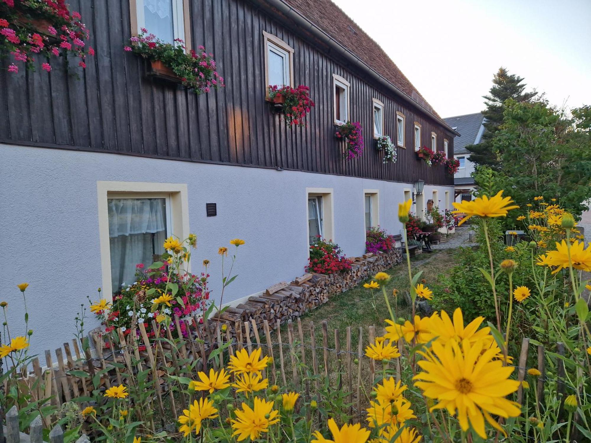 Ferienwohnungen Kleiner Kuhstall Kurort Gohrisch Buitenkant foto